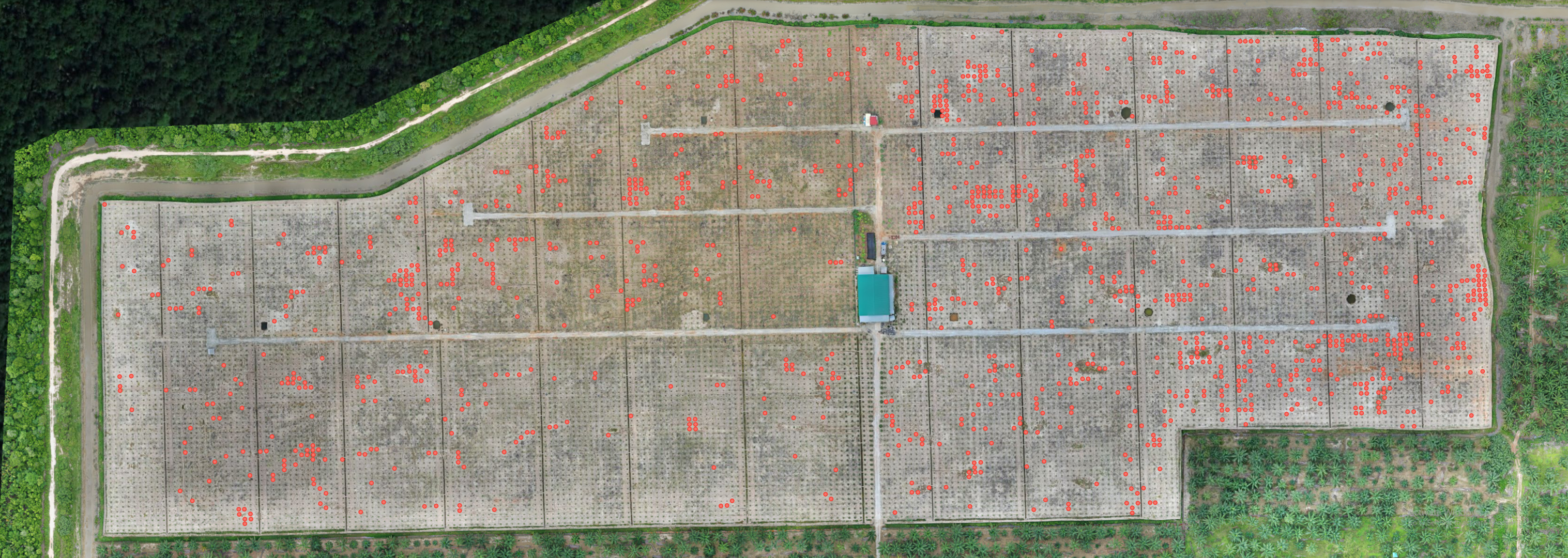 High-resolution orthomosaic maps for surveying and mapping