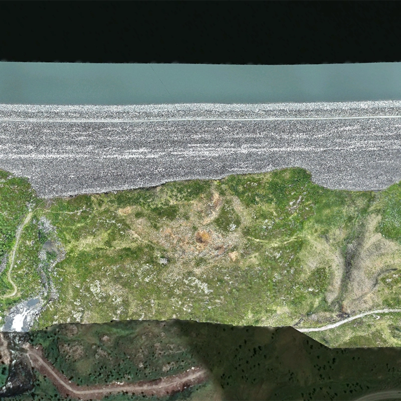 Orthomosaic mapping sample 4