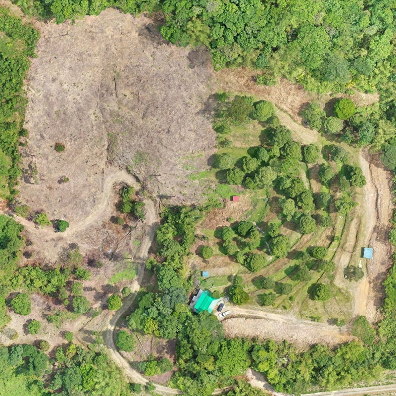 Orthomosaic mapping sample 8