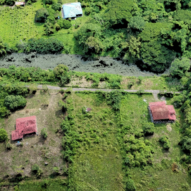 3D point cloud sample 4 - Vegetation classification